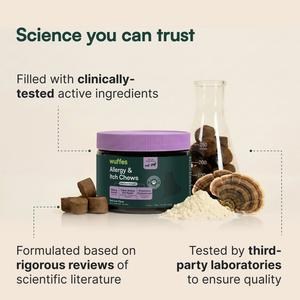 Container of allergy and itch chews beside powder, mushroom slice, and glass lab flask