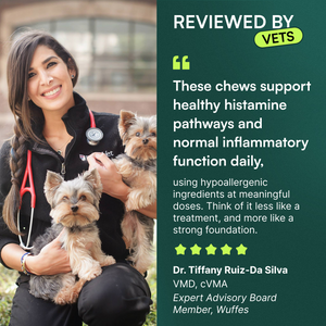 Veterinarian holding two small dogs with testimonial text on joint health chews for dogs.