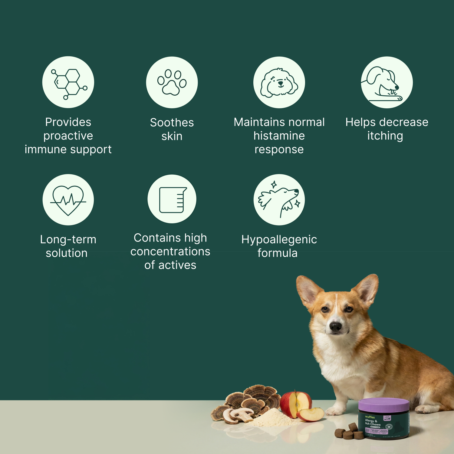 Icons representing immune support, skin soothing, histamine response, itch relief, long-term solution, active concentration, hypoallergenic, with a dog and supplement jar
