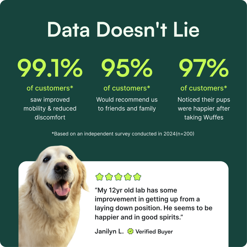 Survey data shows high customer satisfaction and improved dog mobility after using Wuffles supplements.