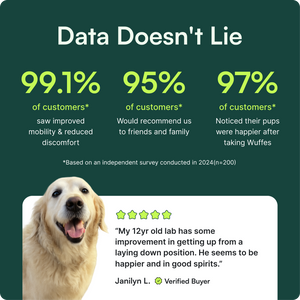 Survey data shows high customer satisfaction and improved dog mobility after using Wuffles supplements.