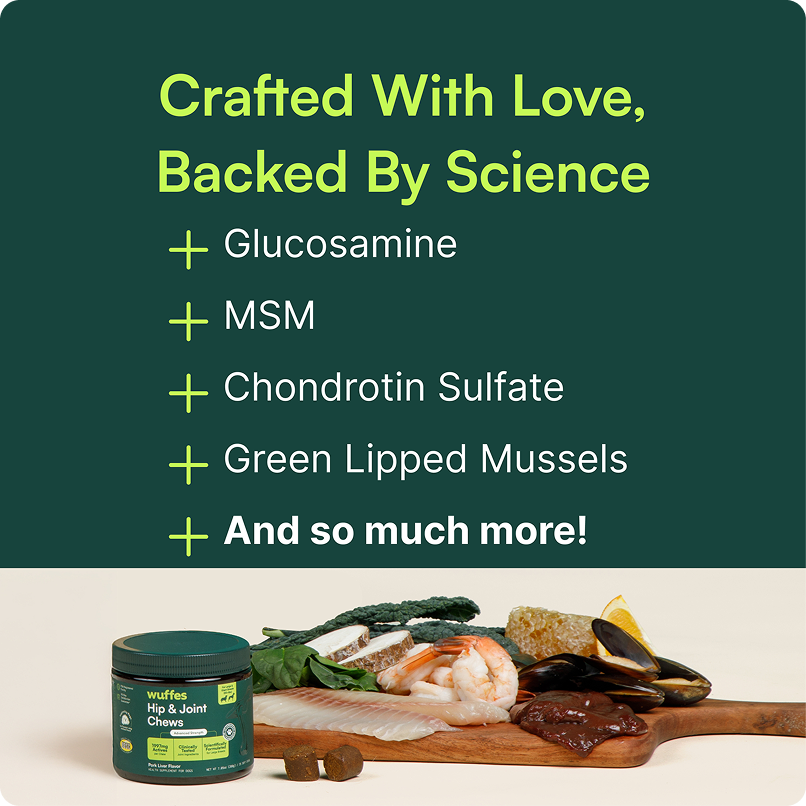 Label listing key natural ingredients next to dog hip and joint chews container with fresh food items