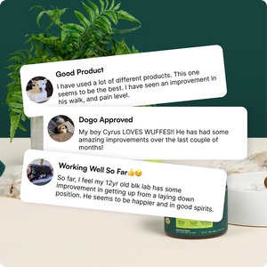 Three user reviews about dog joint health with images of dogs and a green plant background