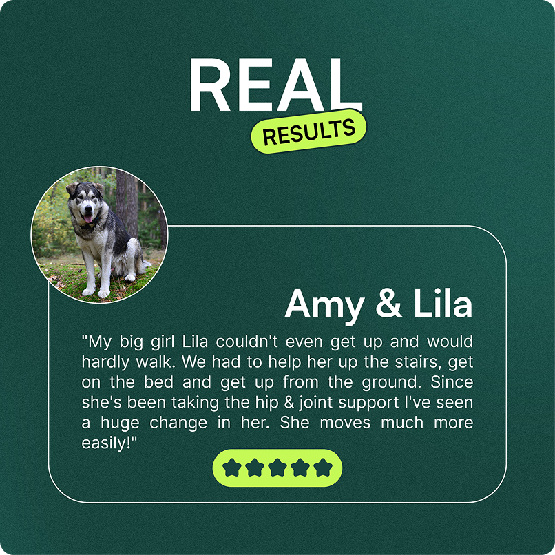 Testimonial with photo of a large dog and positive review about improved joint health support