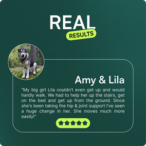 Testimonial with photo of a large dog and positive review about improved joint health support