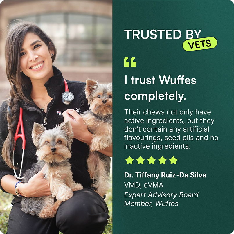 Veterinarian holding two small dogs next to a testimonial about trusted dog joint chews.