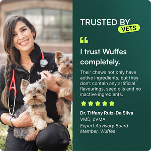 Veterinarian holding two small dogs next to a testimonial about trusted dog joint chews.